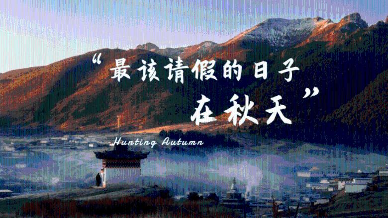 小猫钓鱼游戏龙王版有船