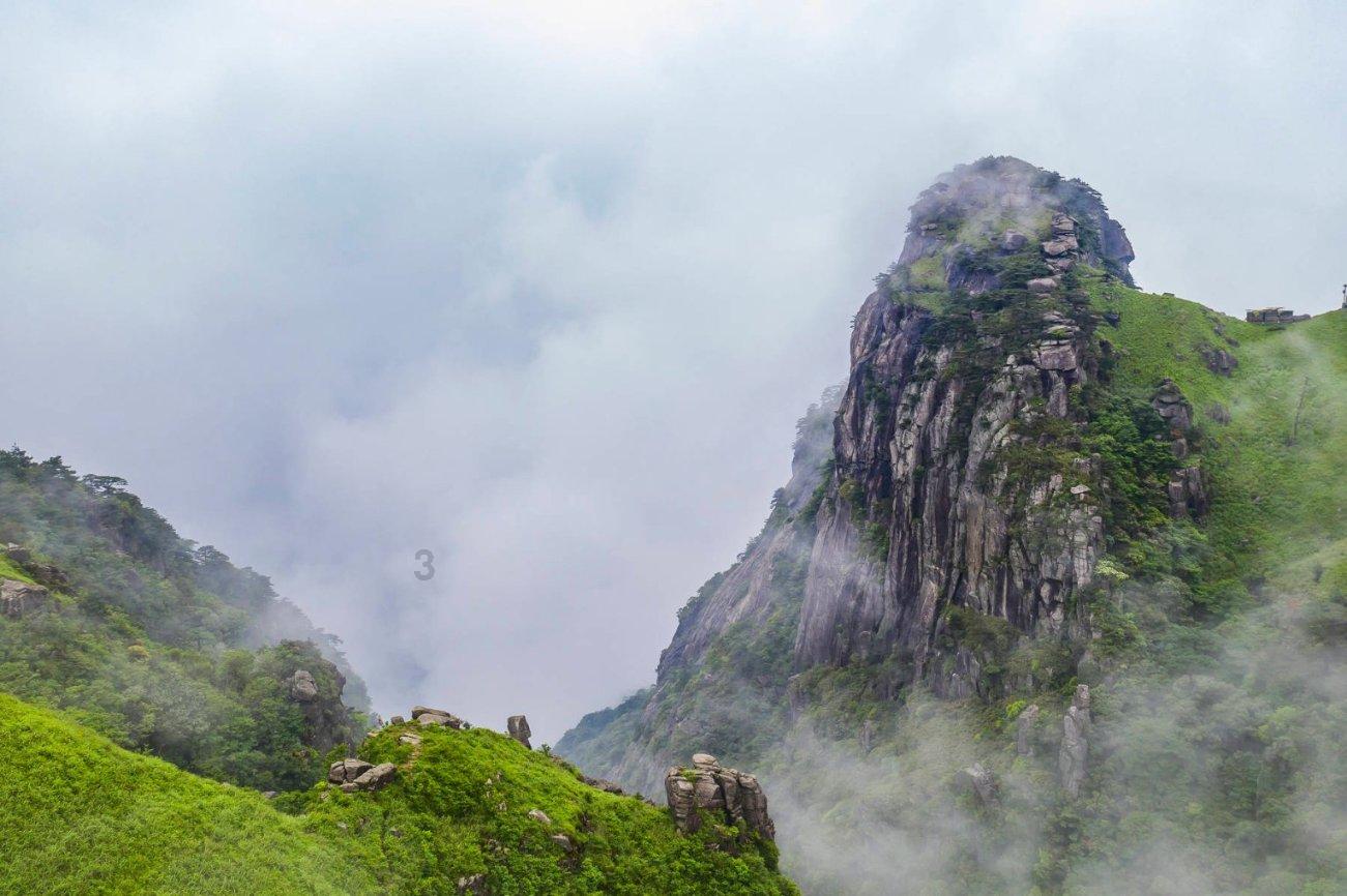 小汪汪