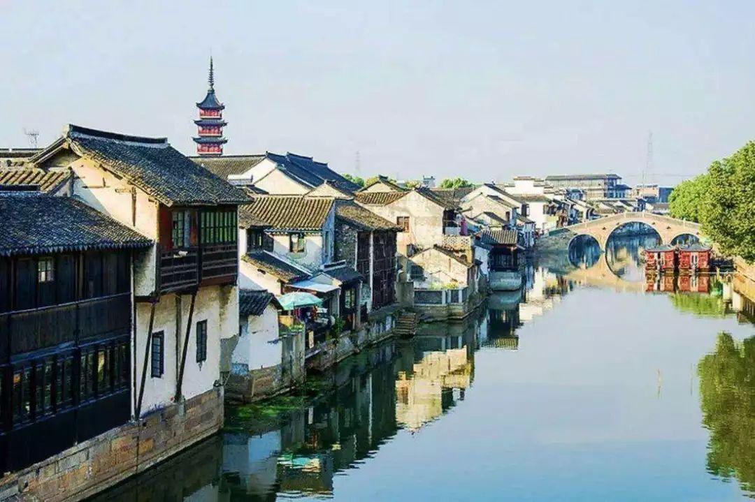 偶得一兰（诗 若水）